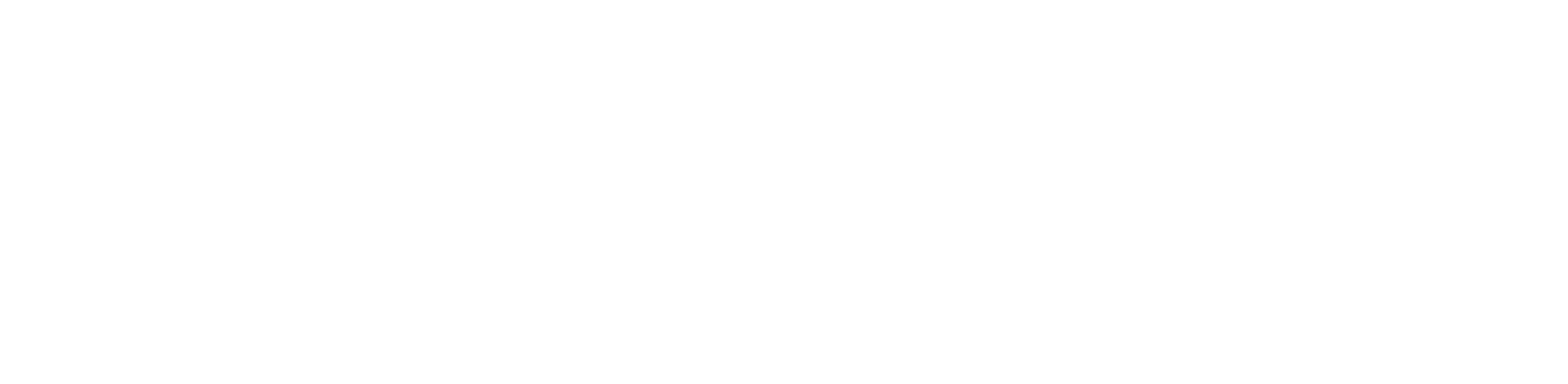 logo blanc bassme audio